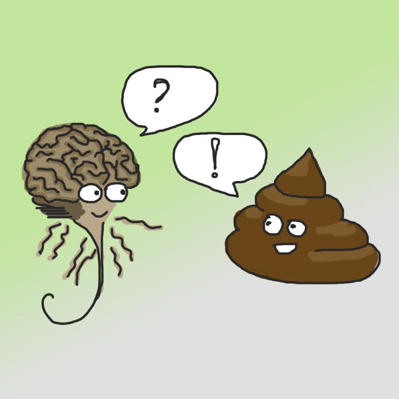 What poo can tell us about the brain