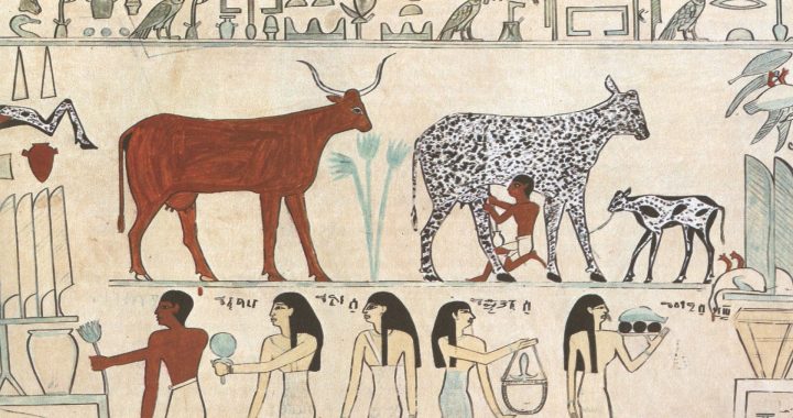 How changes in our prehistoric ancestors’ diet may have determined how our languages sound today