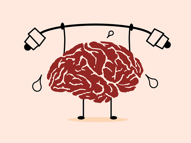 The false promises of brain training apps